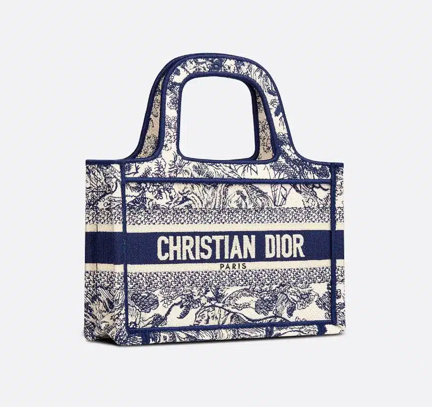 Dior Book Tote